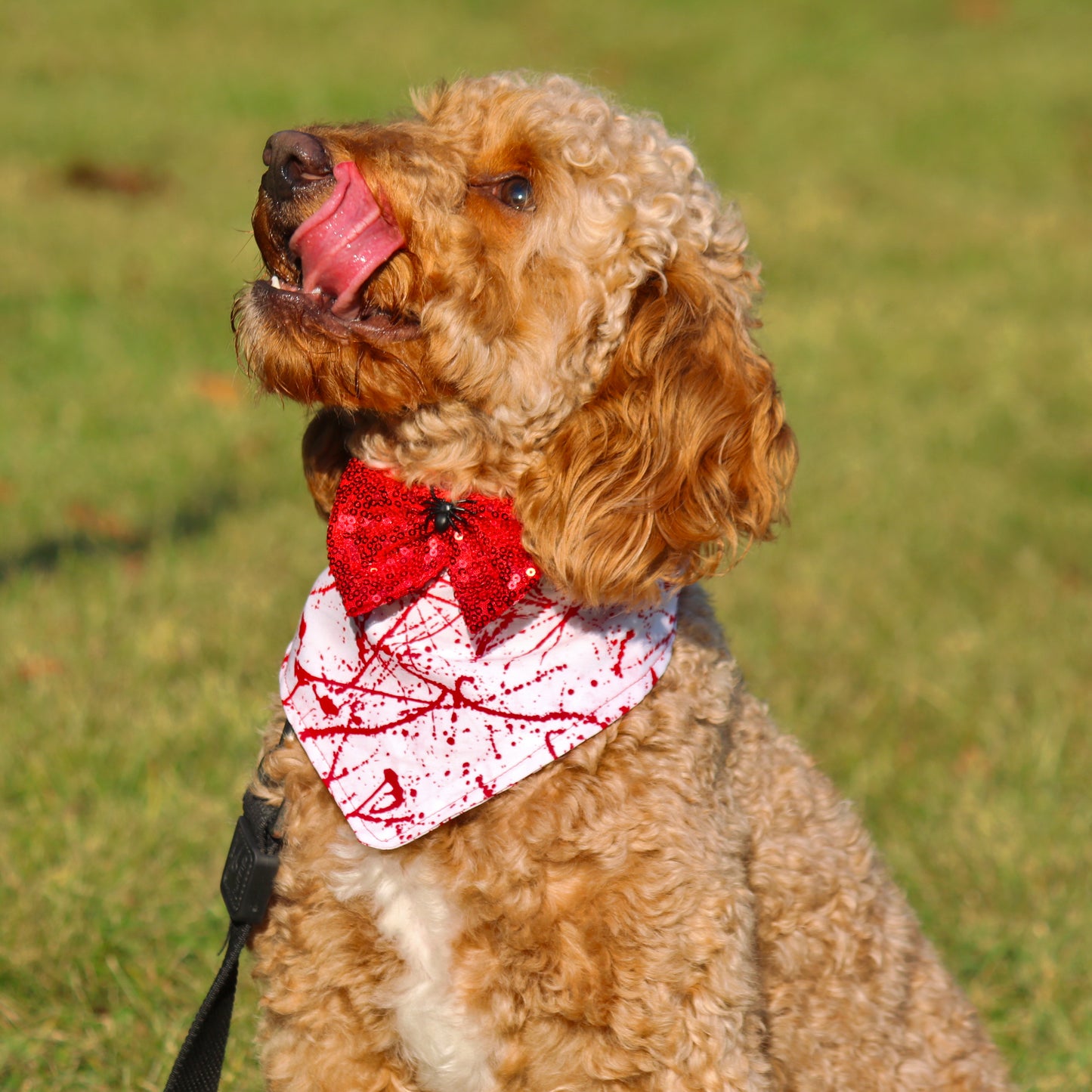 Halloween Blood Splatter with Spooky Bowtie Dog Designer Bandanna