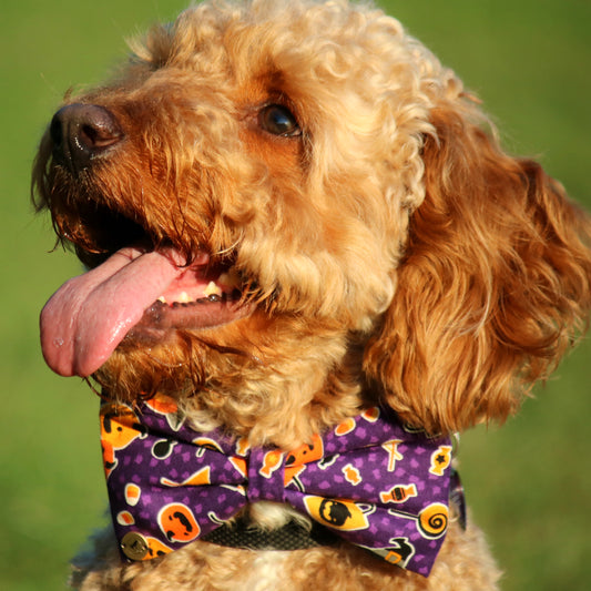 Purple Halloween Bow tie