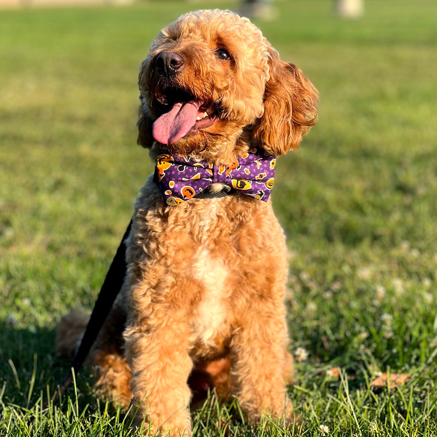 Purple Halloween Bow tie