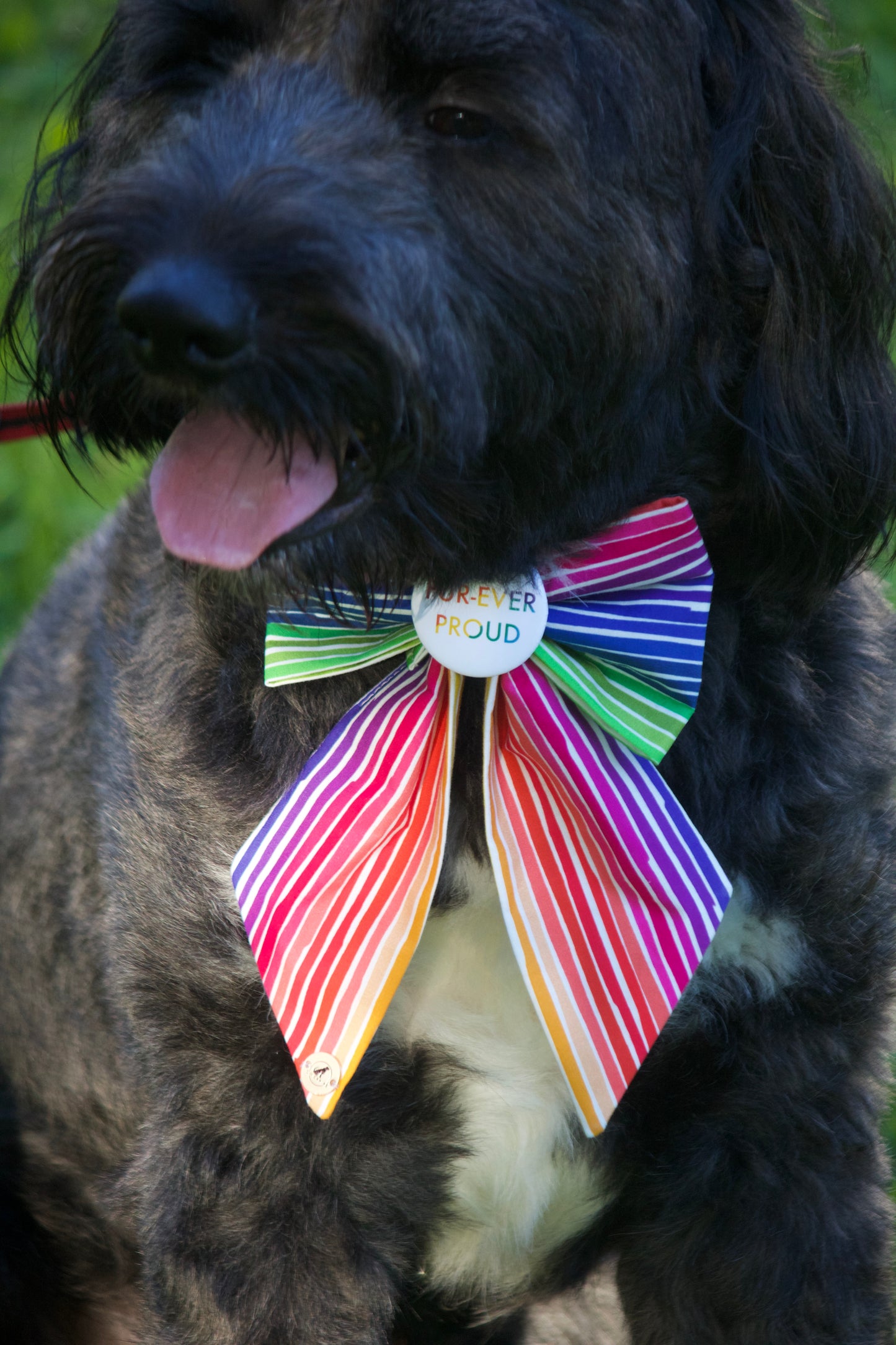 Rainbow Stripes Sailor Bow