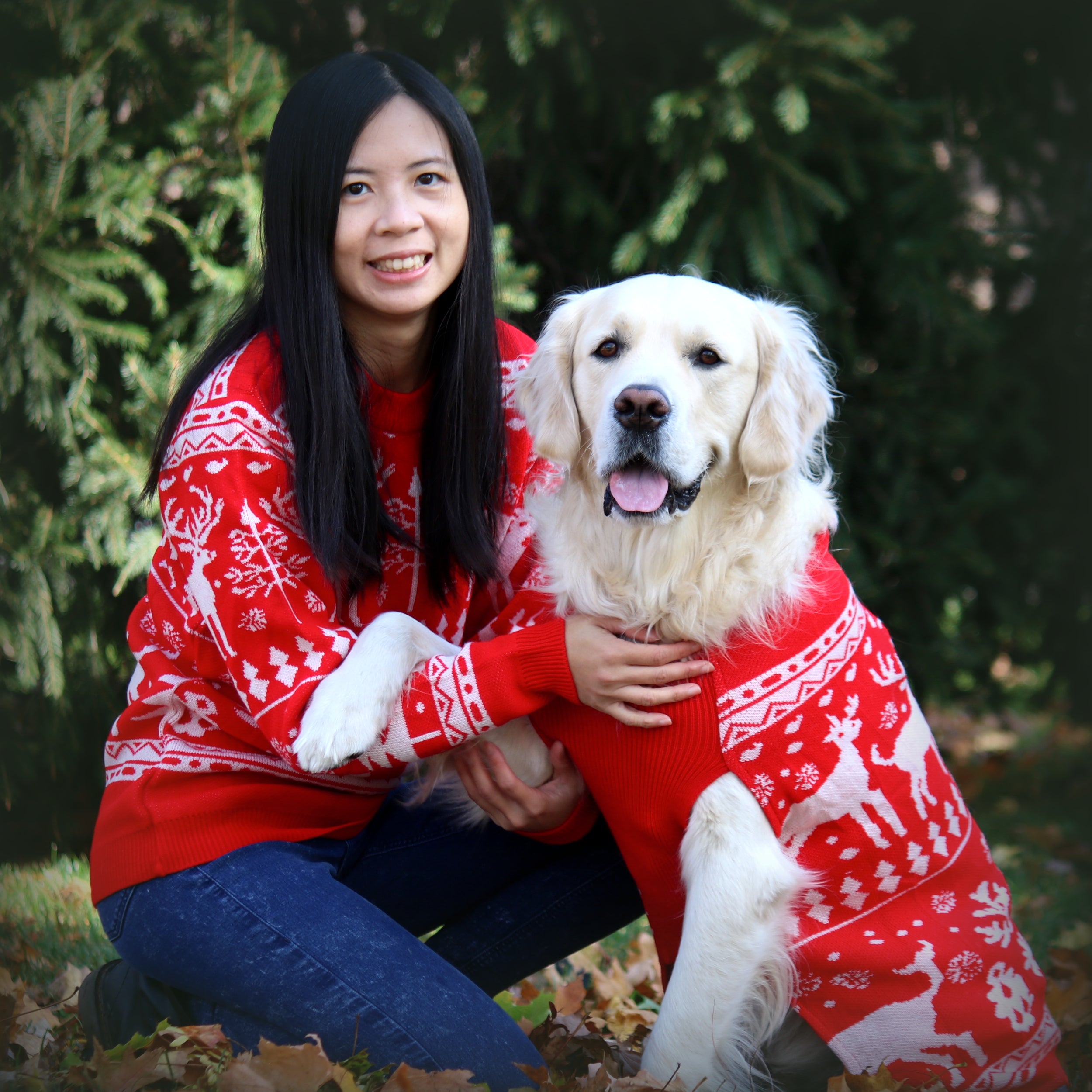 Dog Sweater - Christmas matching set