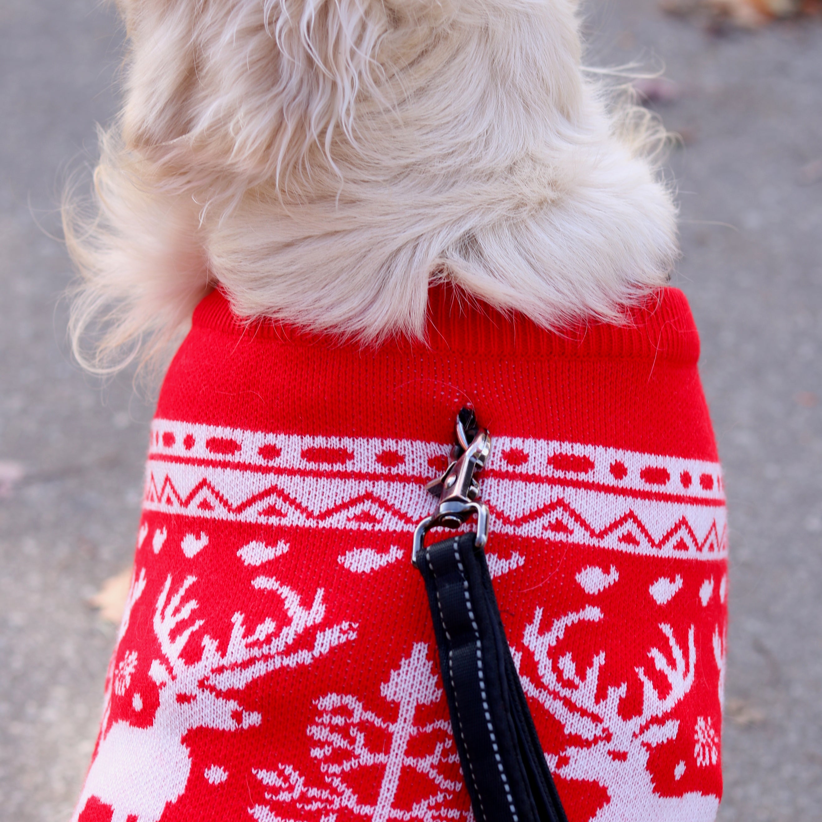 Dog Sweater - Christmas matching set