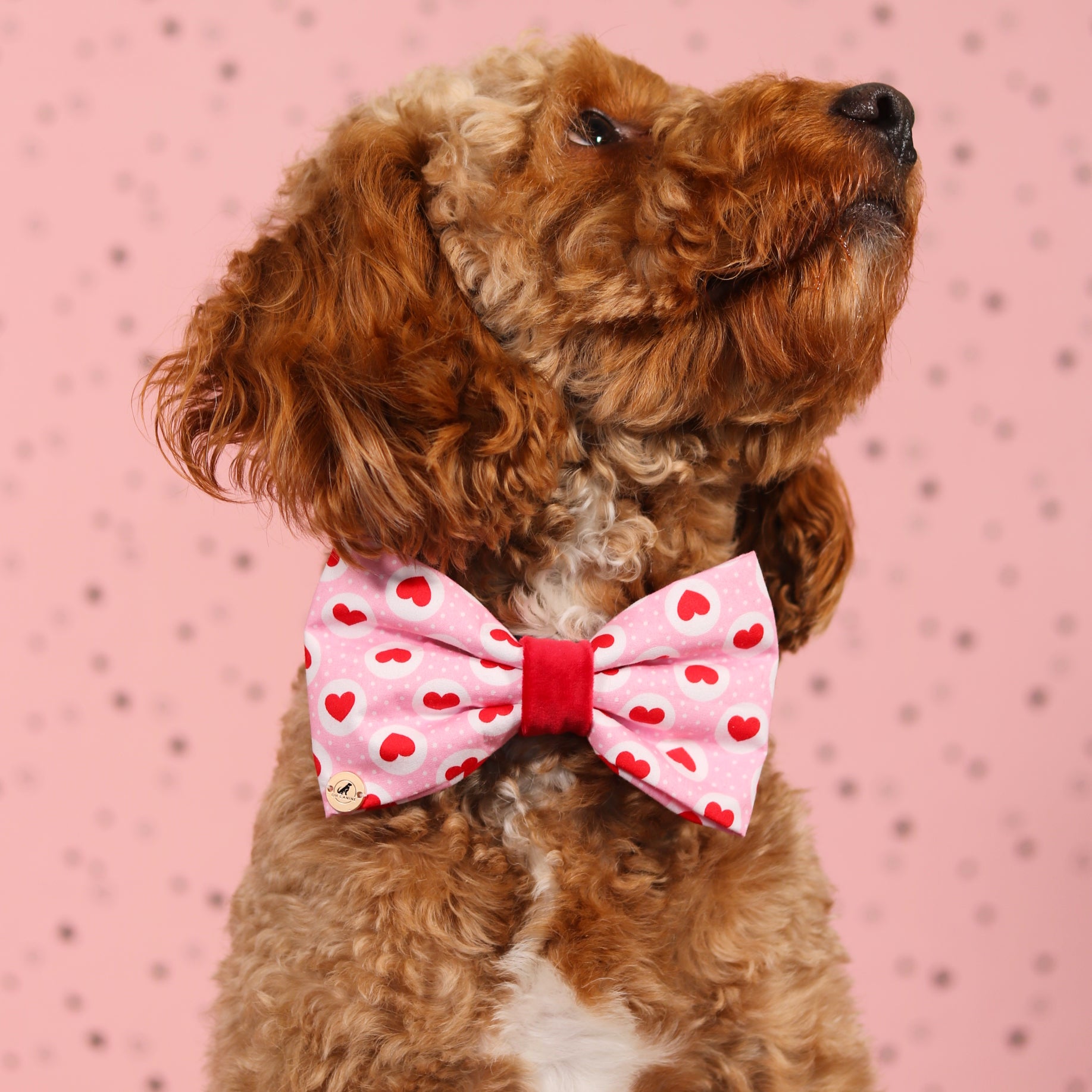 Valentine’s day  Pink &Red  Heart with velvet Bow tie