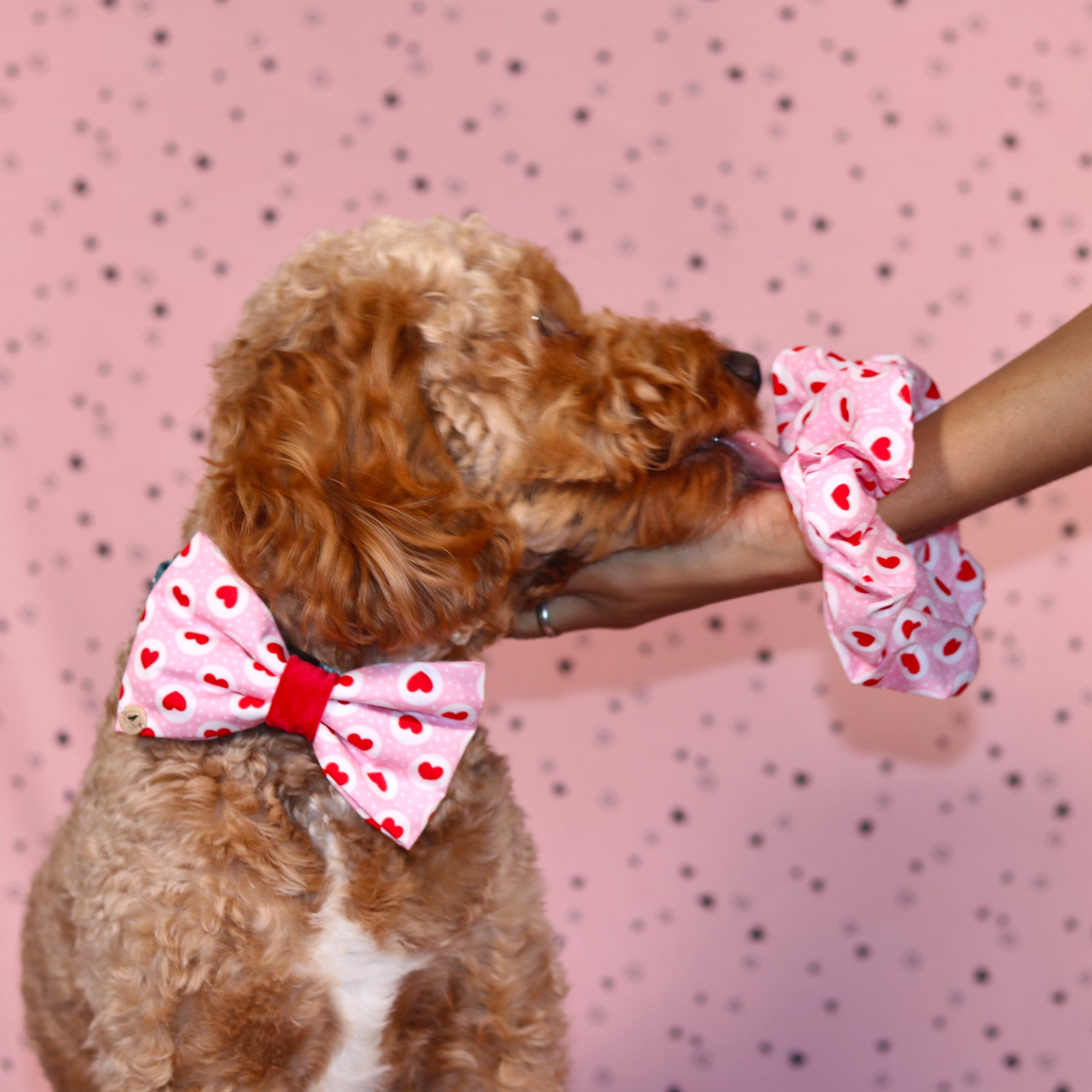 Valentine’s day  Pink &Red  Heart with velvet Bow tie