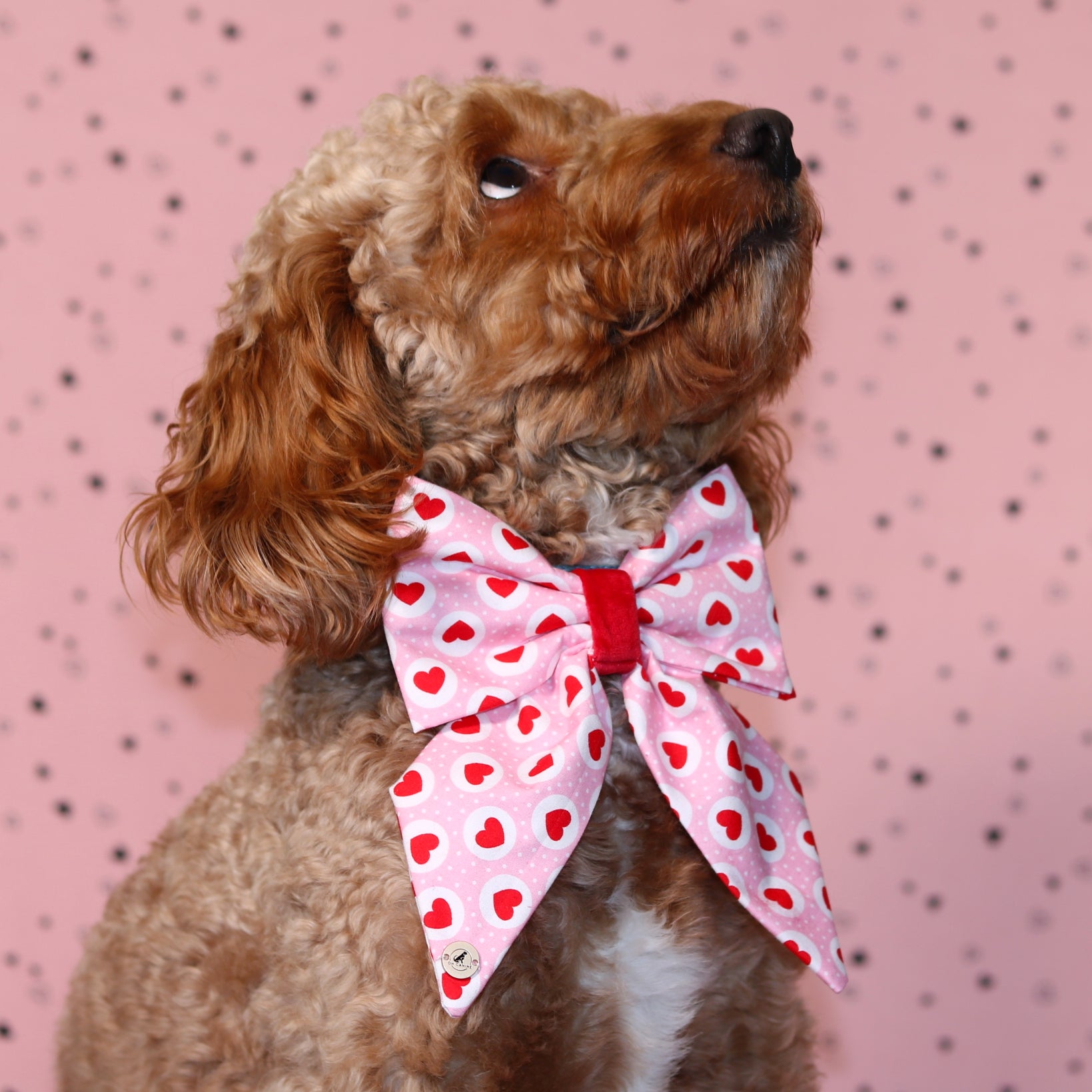 Valentine’s Day Pink & Red heart with velvet Handmade Sailor bowtie