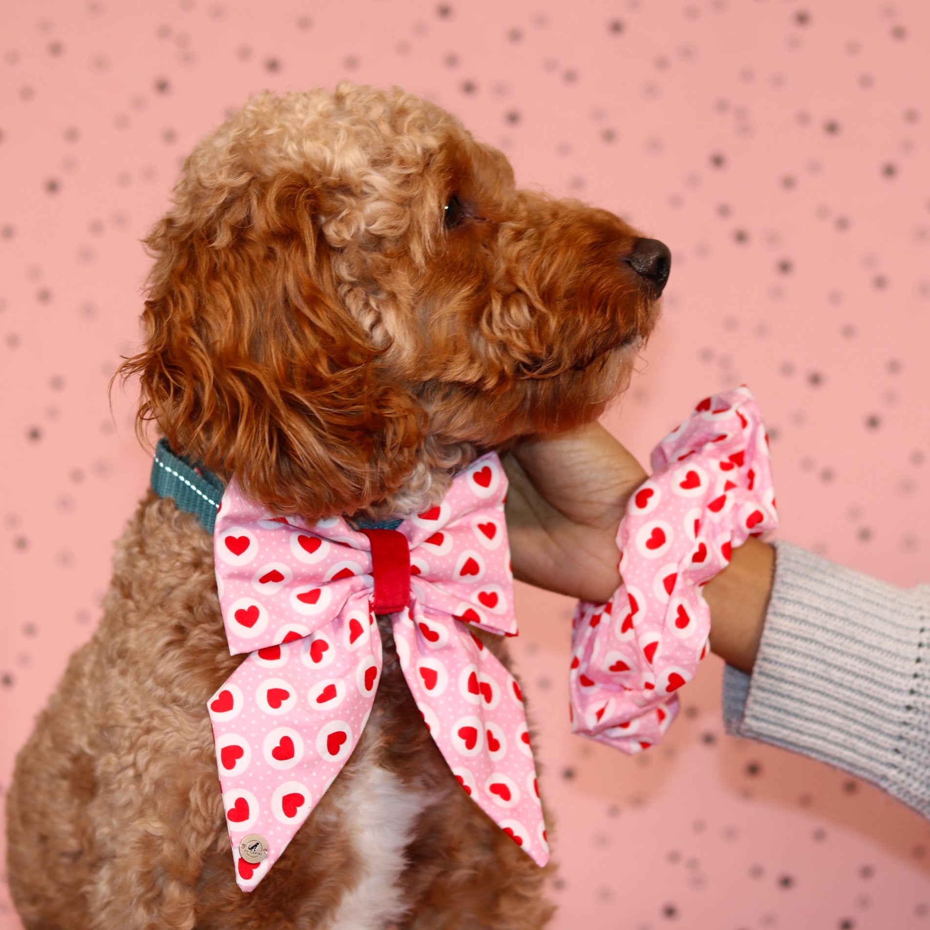 Valentine’s Day Pink & Red heart with velvet Handmade Sailor bowtie