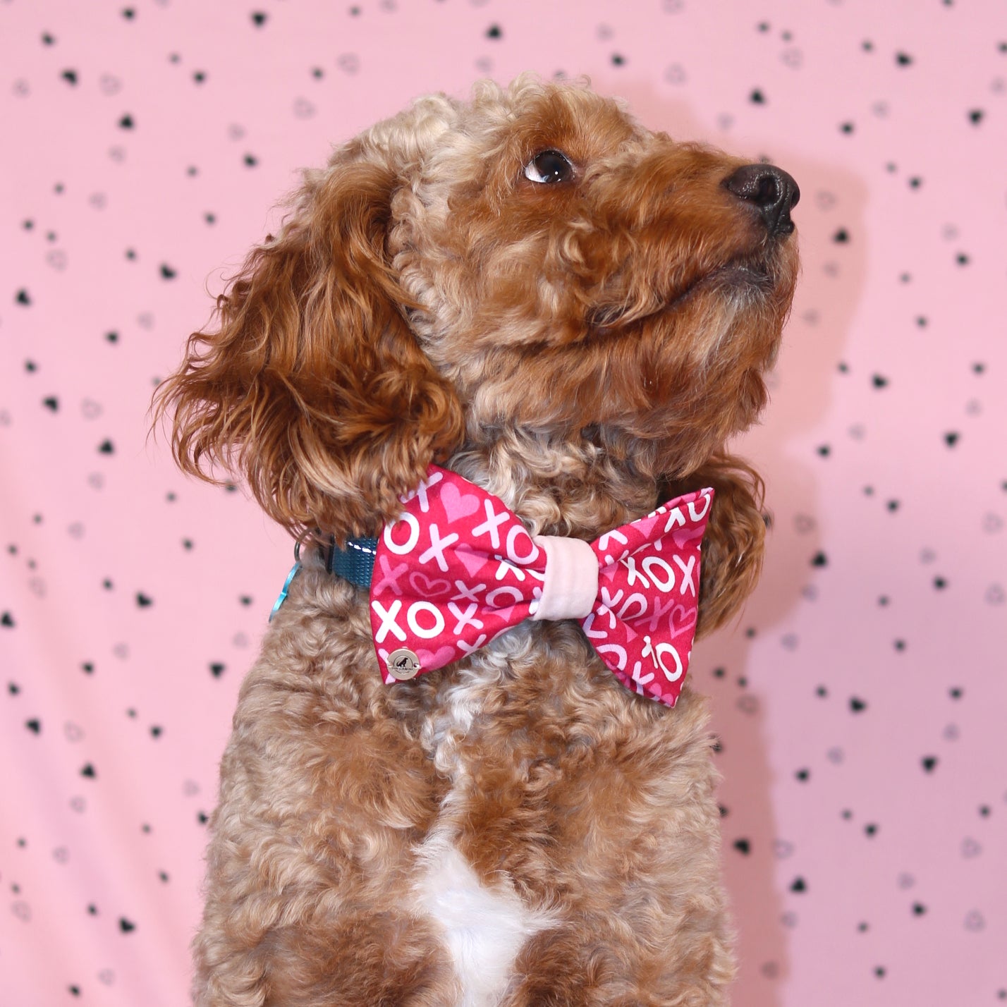 Valentine’s day Pink xoxo pattern with velvet Bow tie