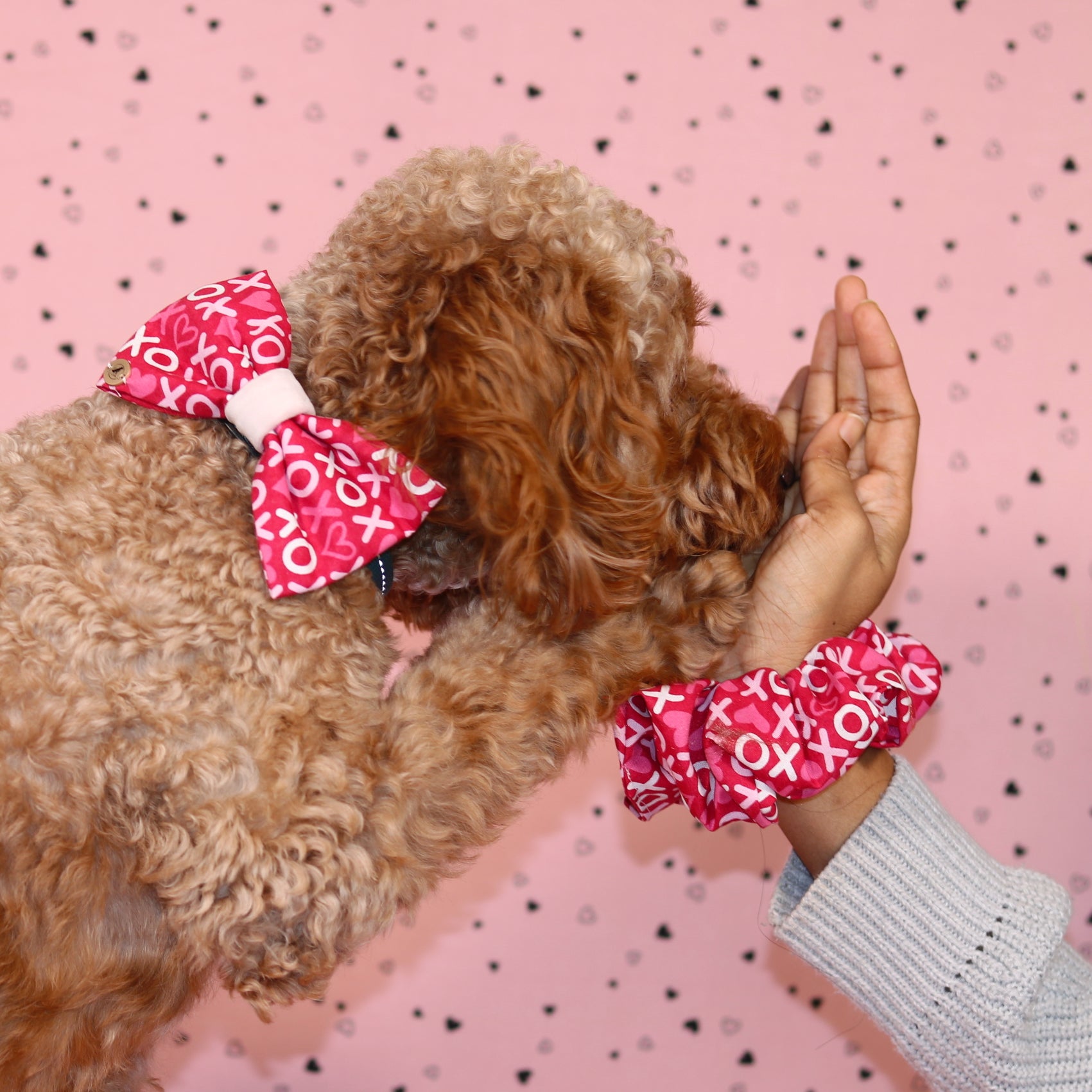 Valentine’s day Pink xoxo pattern with velvet Bow tie