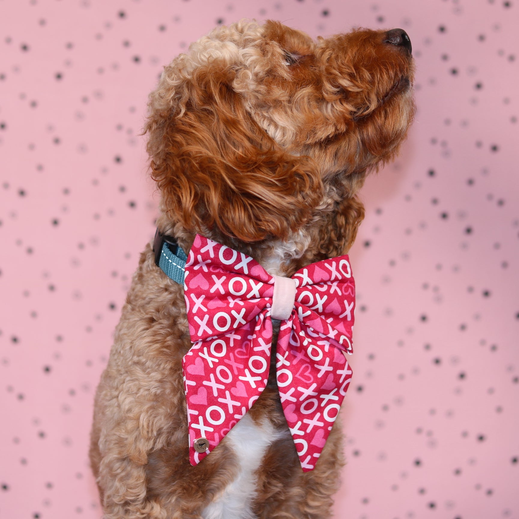 Valentine’s Day Pink XOXO pattern with velvet Handmade Sailor bowtie for your pets