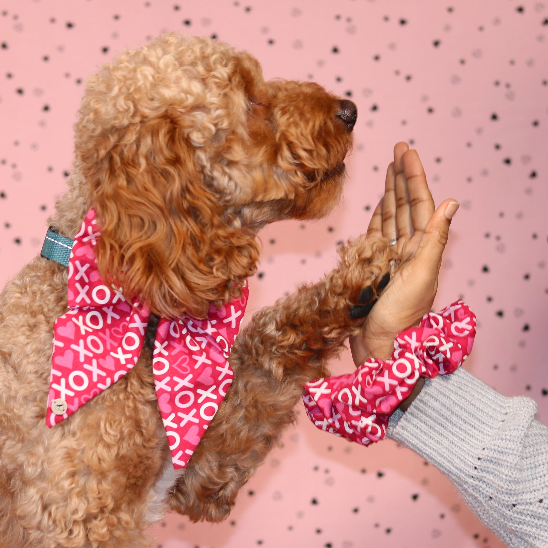 Valentine’s Day Pink XOXO pattern with velvet Handmade Sailor bowtie for your pets