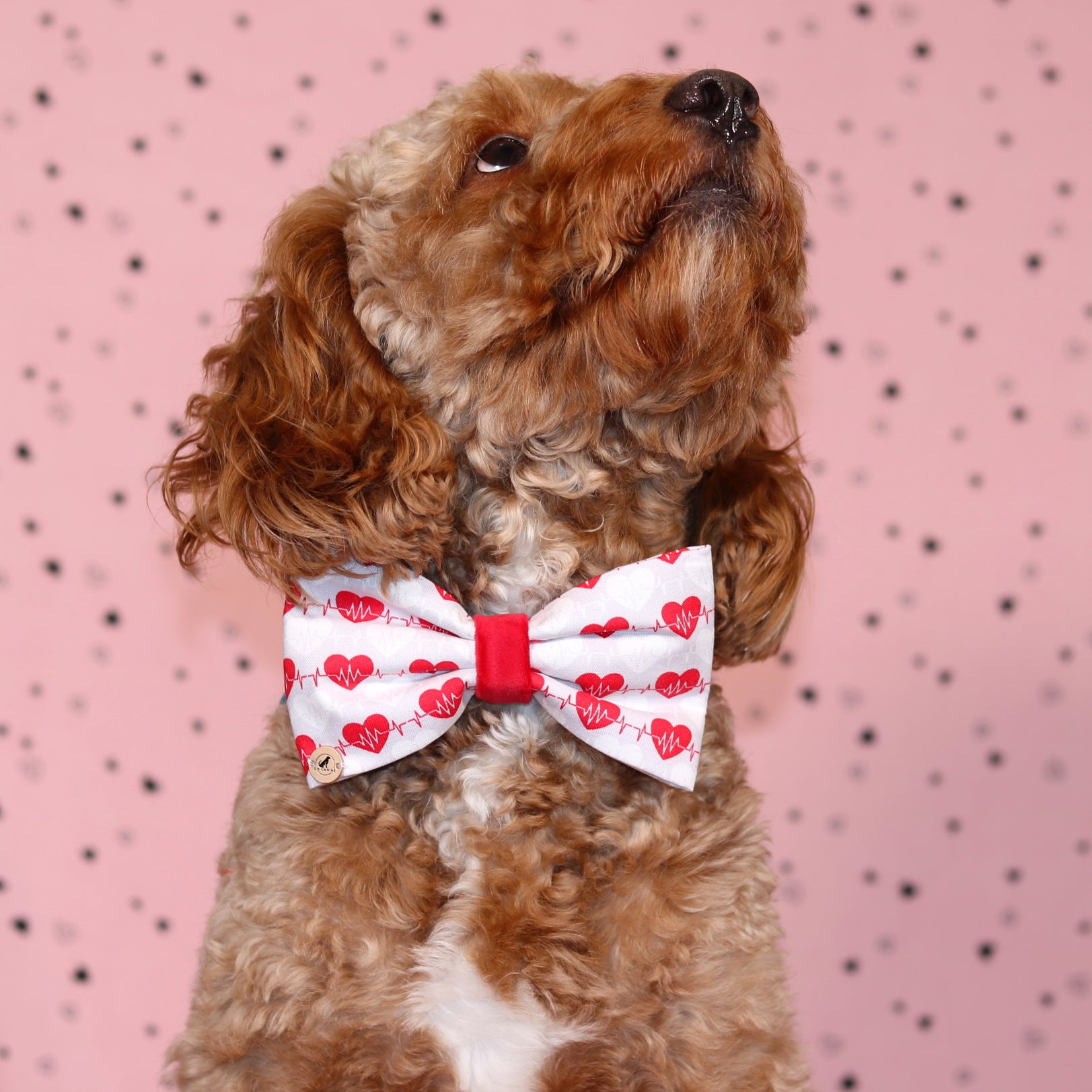 Valentine’s day  Red  Heart with velvet Bow tie