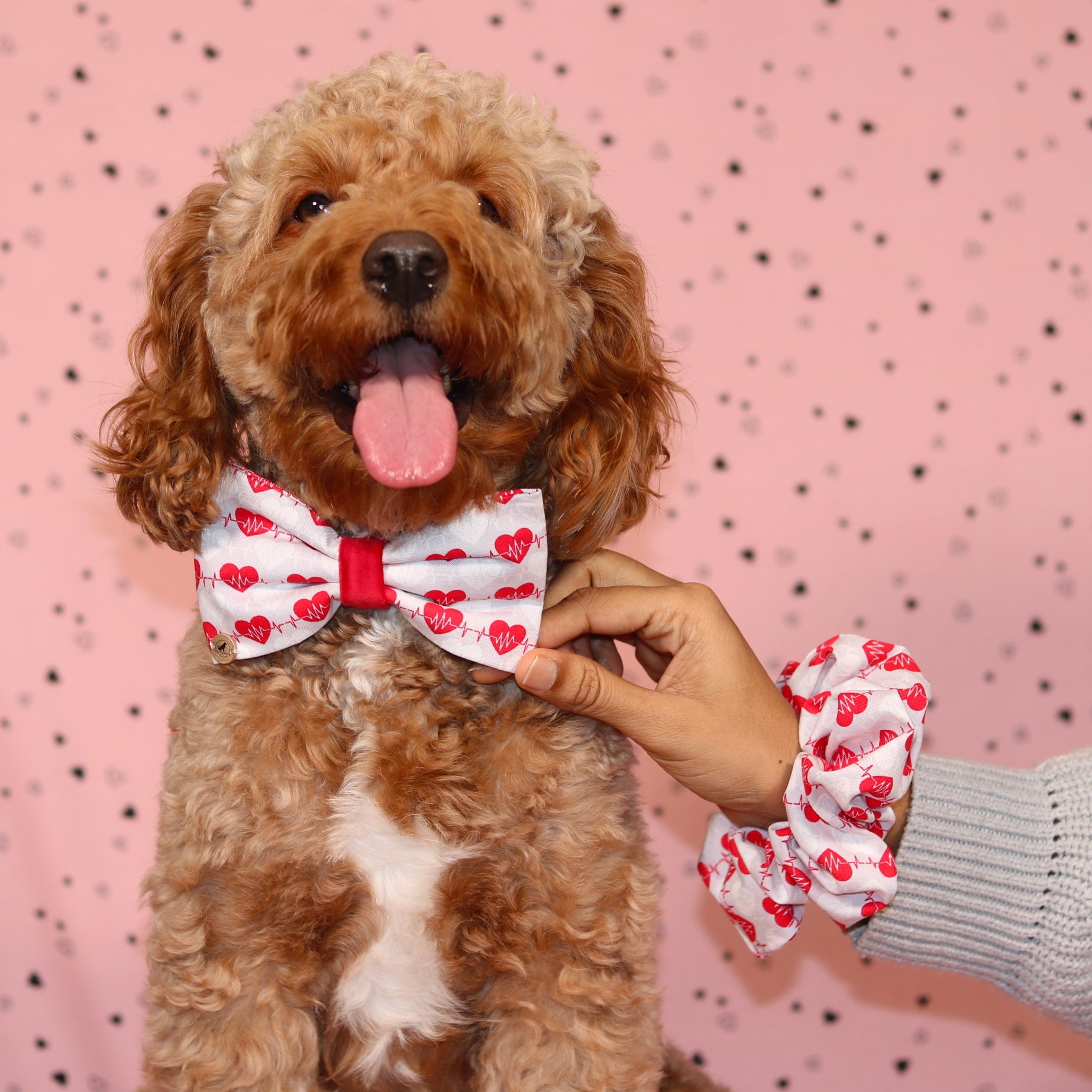 Valentine’s day  Red  Heart with velvet Bow tie