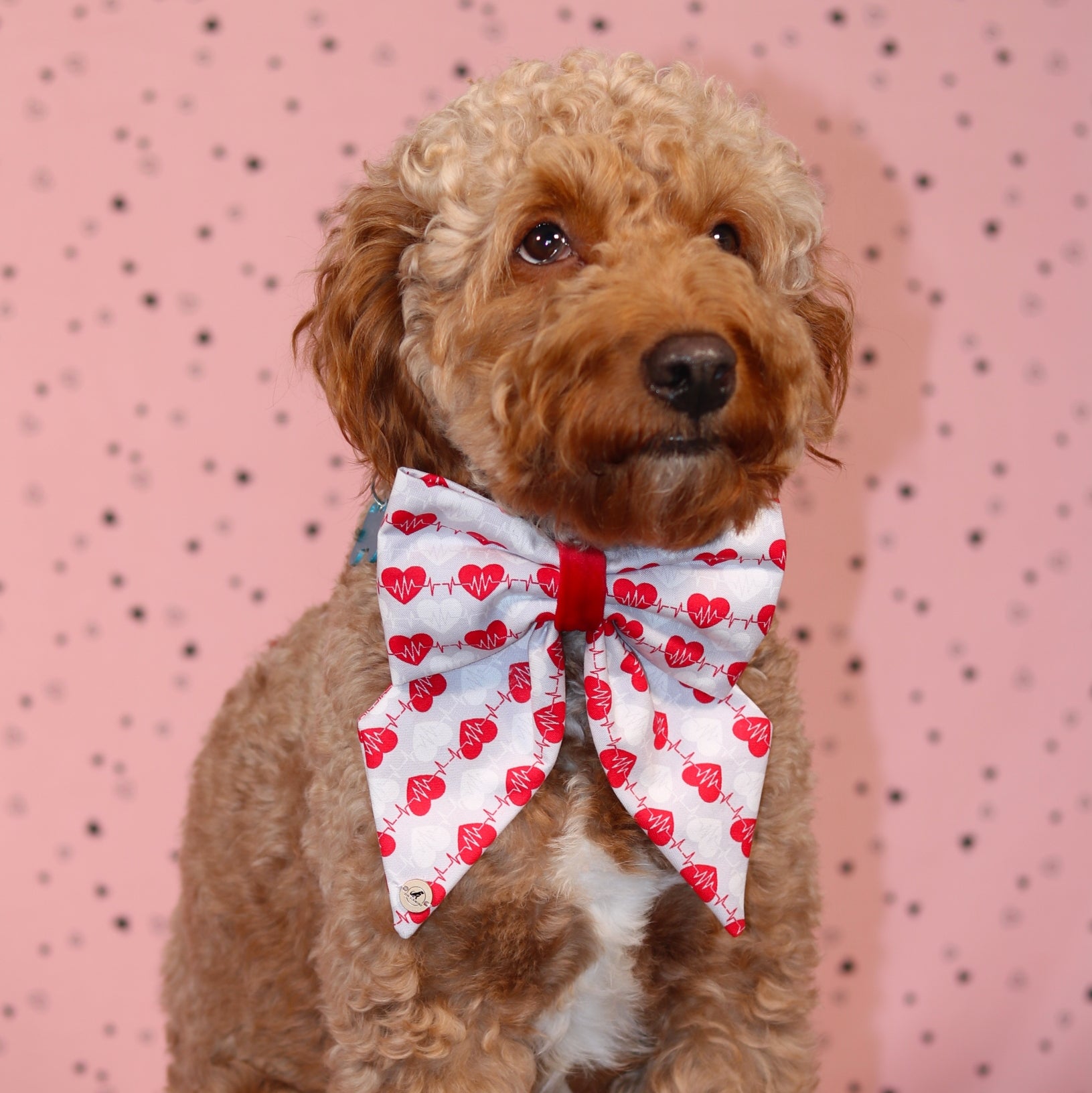 Valentine’s Day Red Heart with velvet Handmade Sailor bowtie for your pets