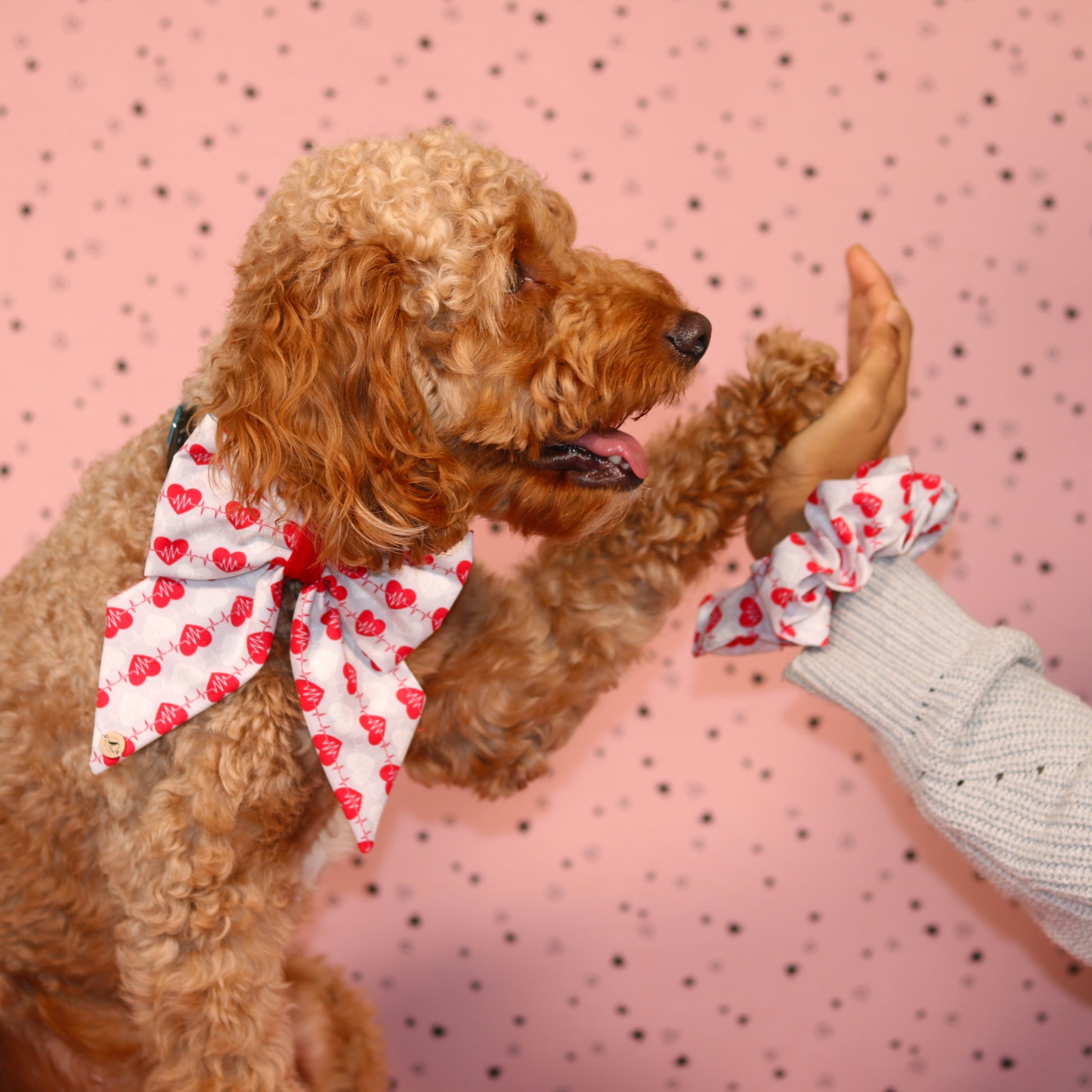 Valentine’s Day Red Heart with velvet Handmade Sailor bowtie for your pets