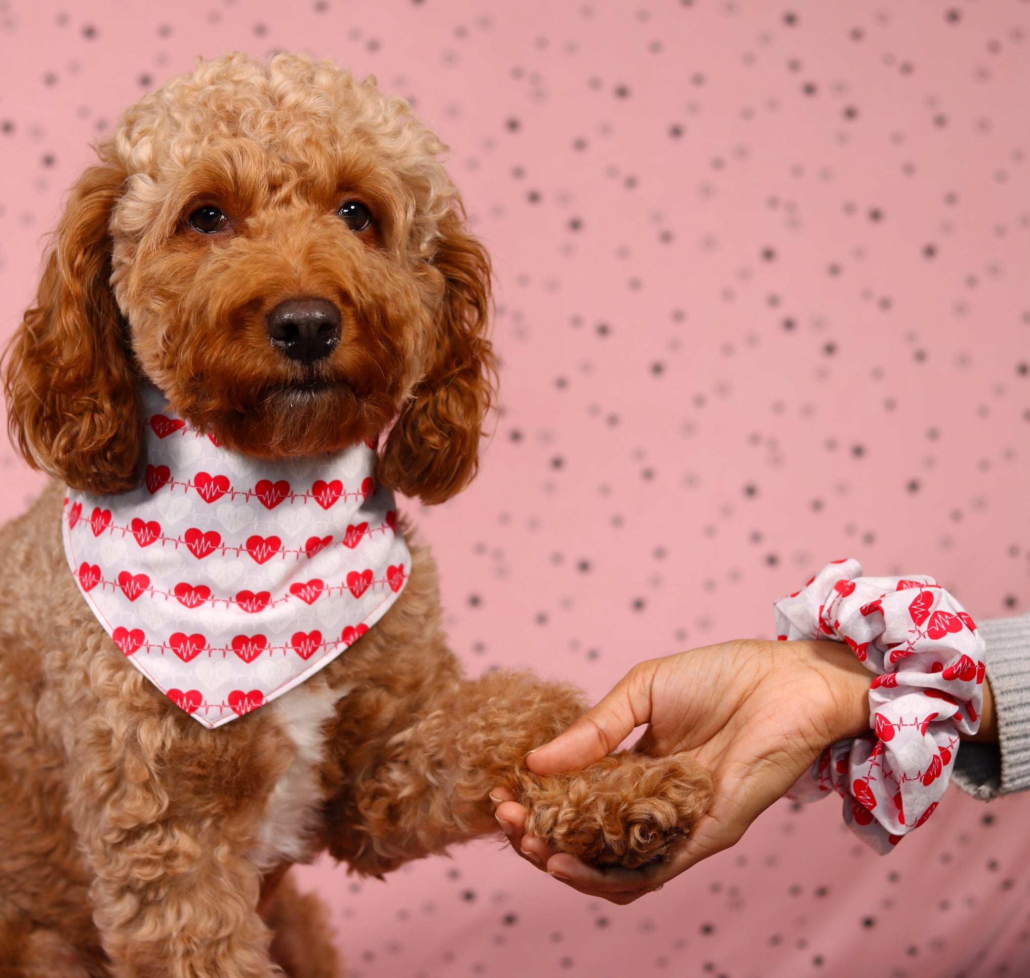 Oh My Heart reversible Snap On Bandana for your pet with matching scrunchie| Valentine’s Day Bandana