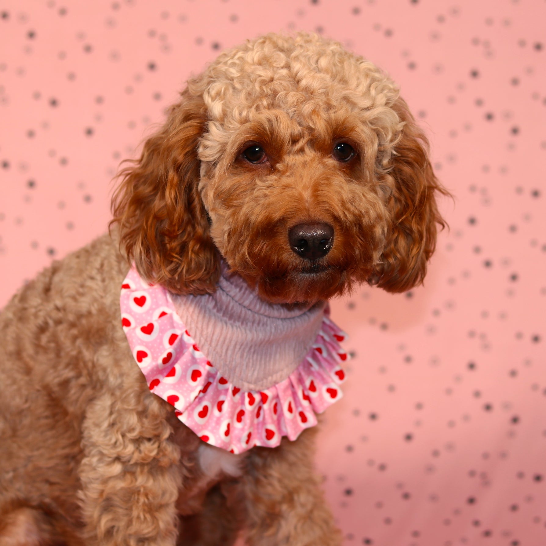 Pretty in Pink Hearts Snap On Bandana for your pet| Valentine’s Day Bandana