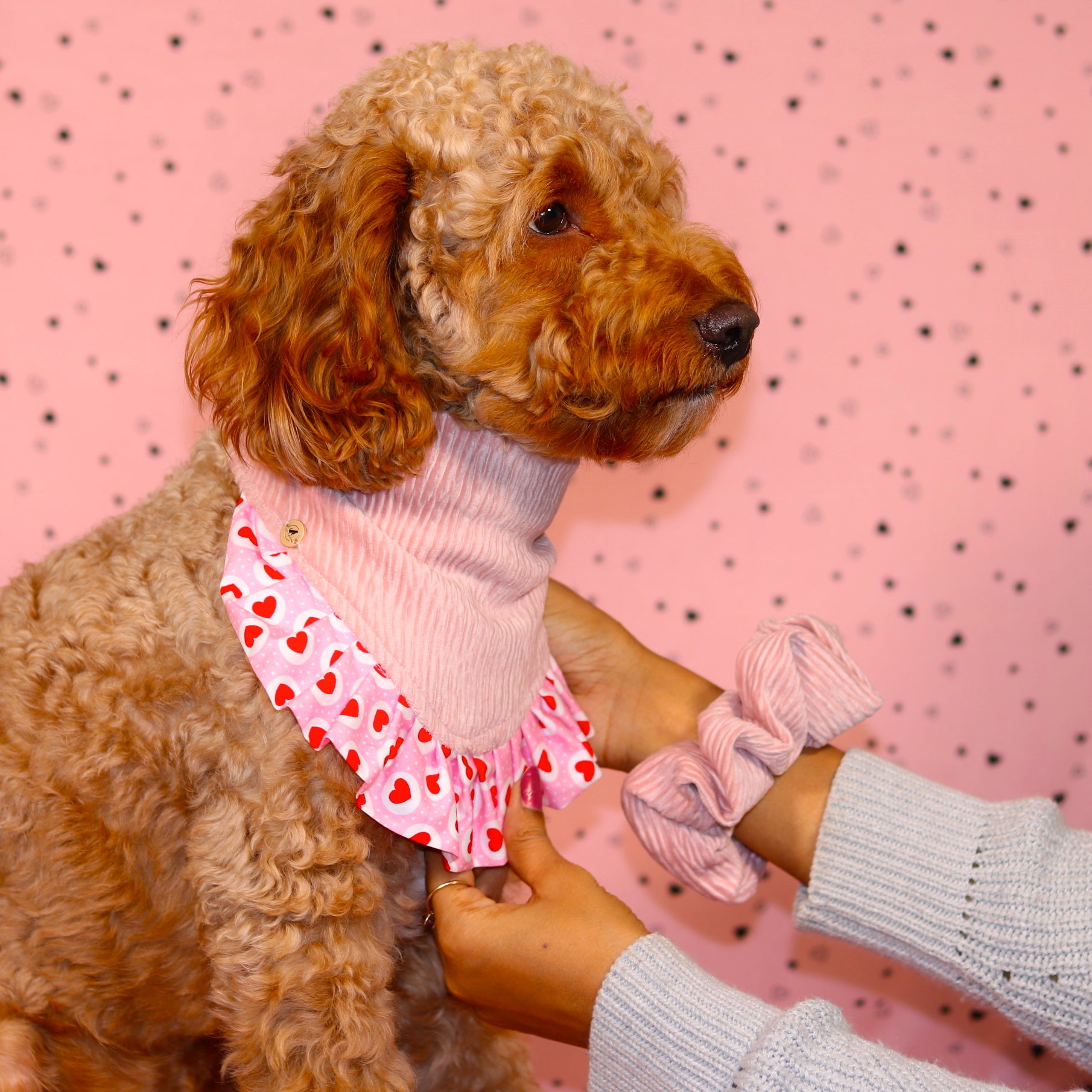 Pretty in Pink Hearts Snap On Bandana for your pet| Valentine’s Day Bandana