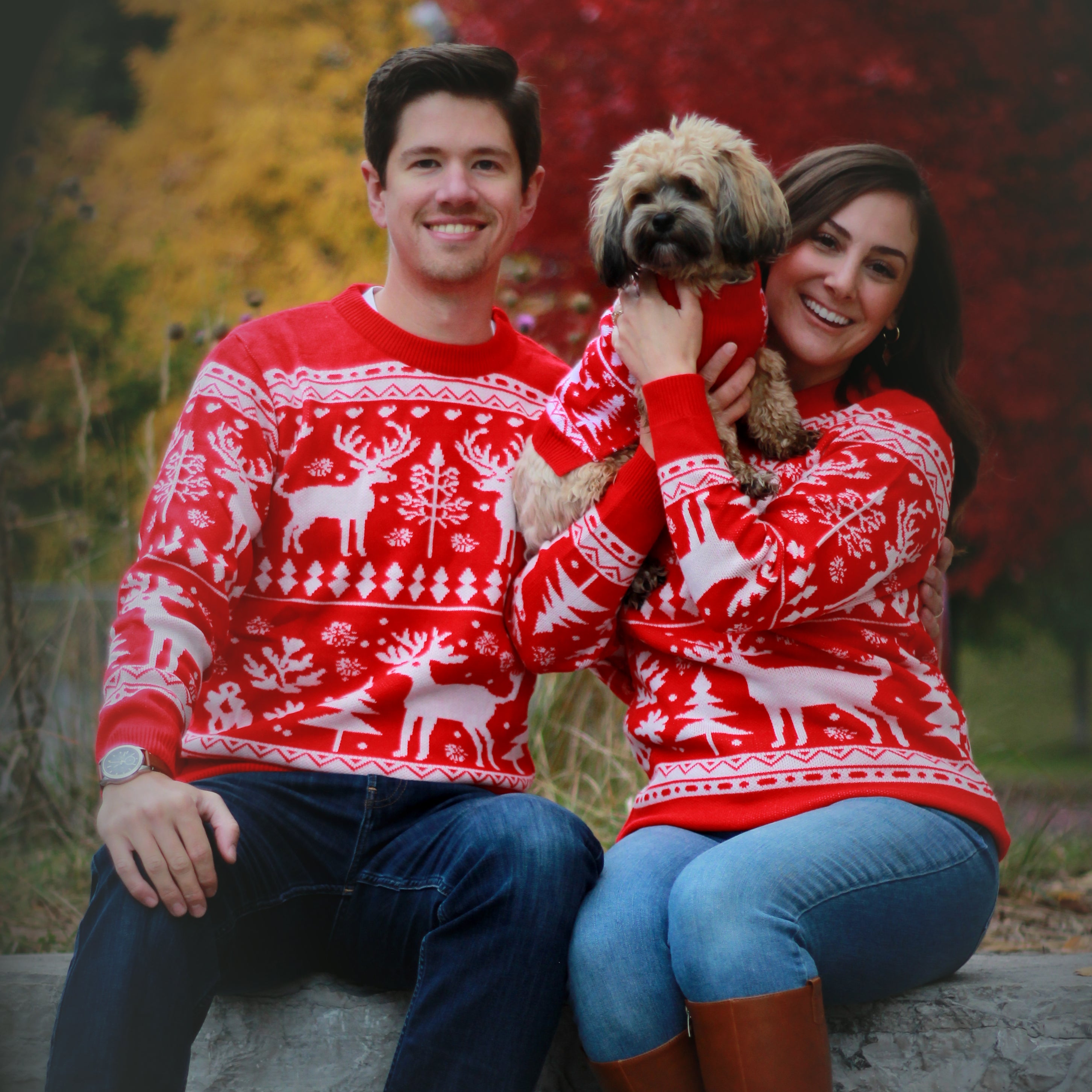 Dog Sweater - Christmas matching set