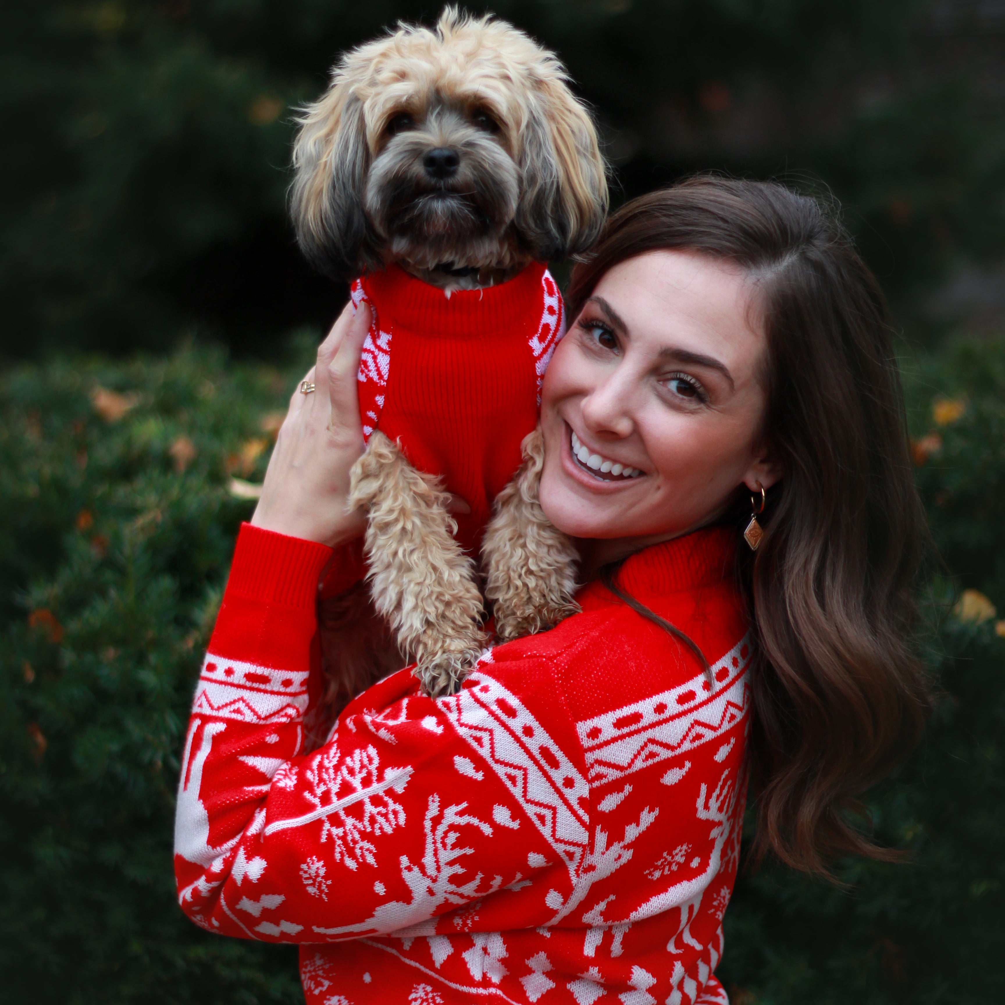 Dog Sweater - Christmas matching set