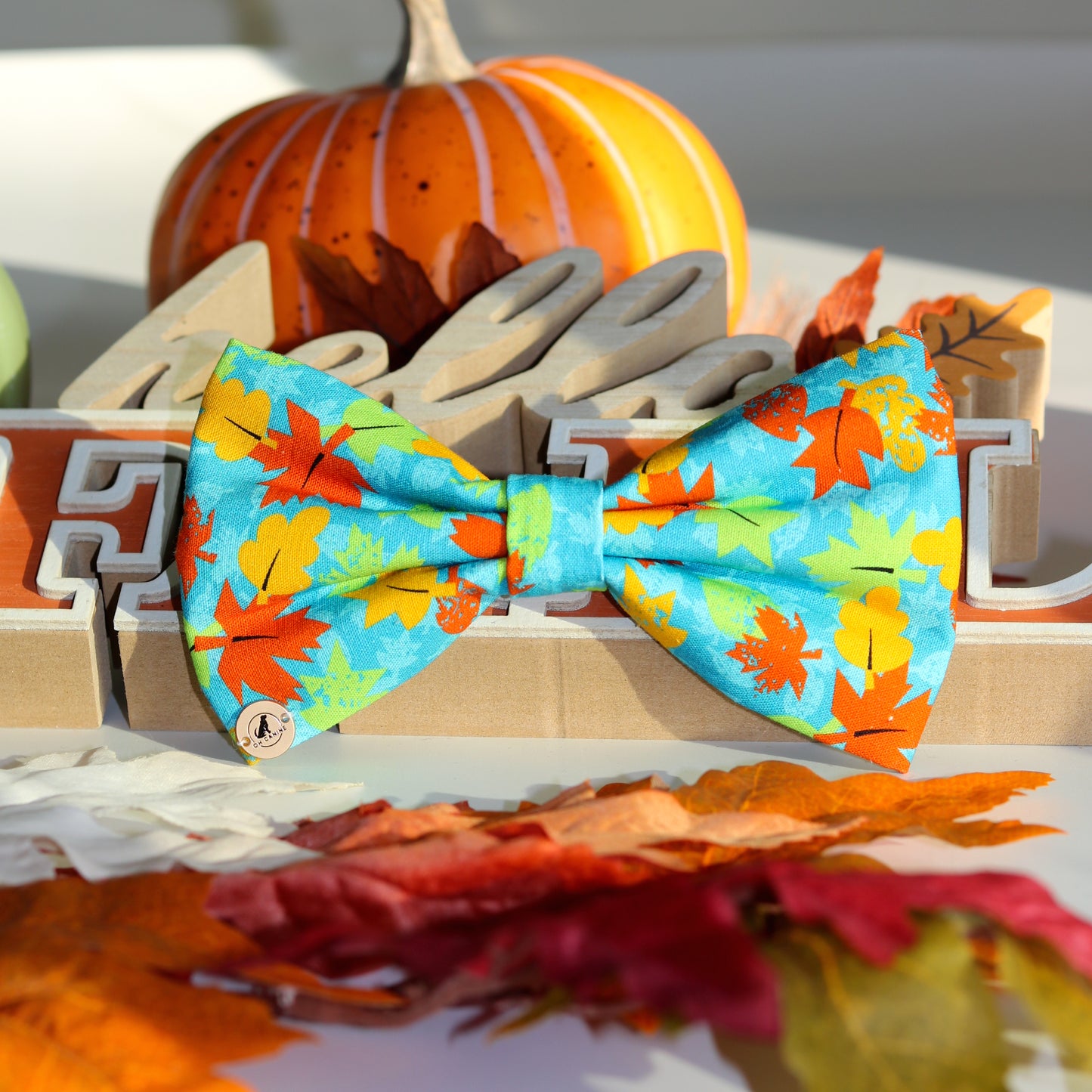 Fall Leaves Dog Collar Bowtie