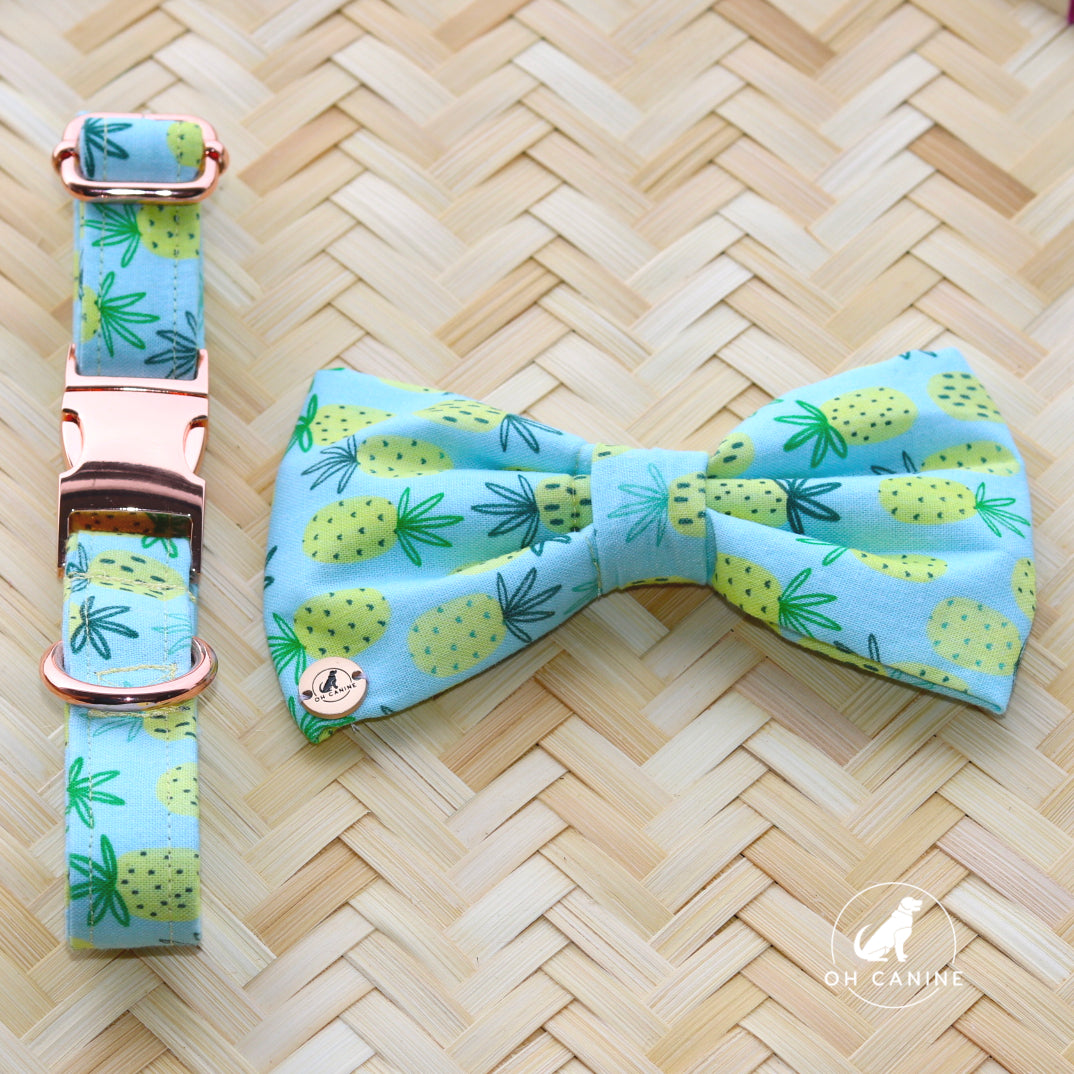 Nori Colada  Handmade Collar and bow set for dogs