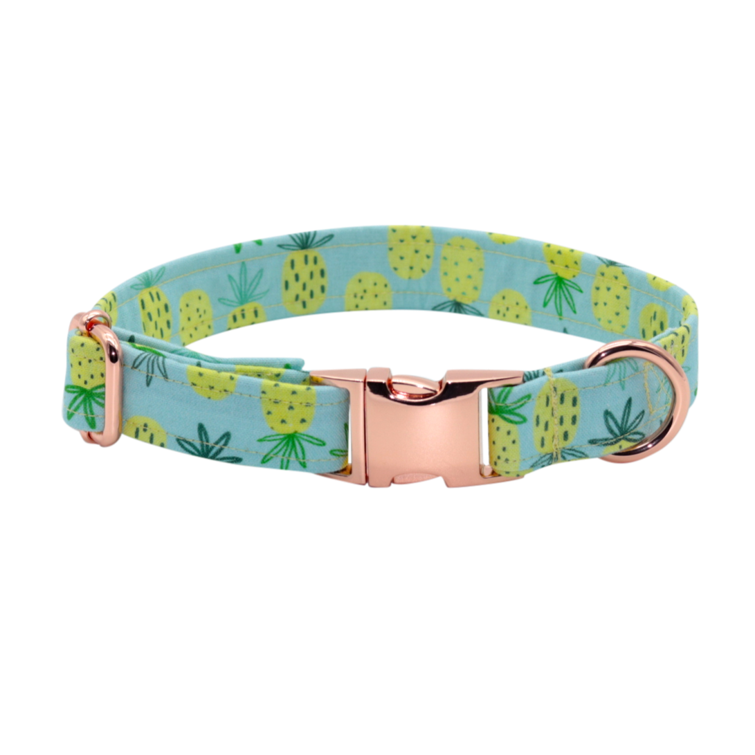 Nori Colada  Handmade Collar and bow set for dogs