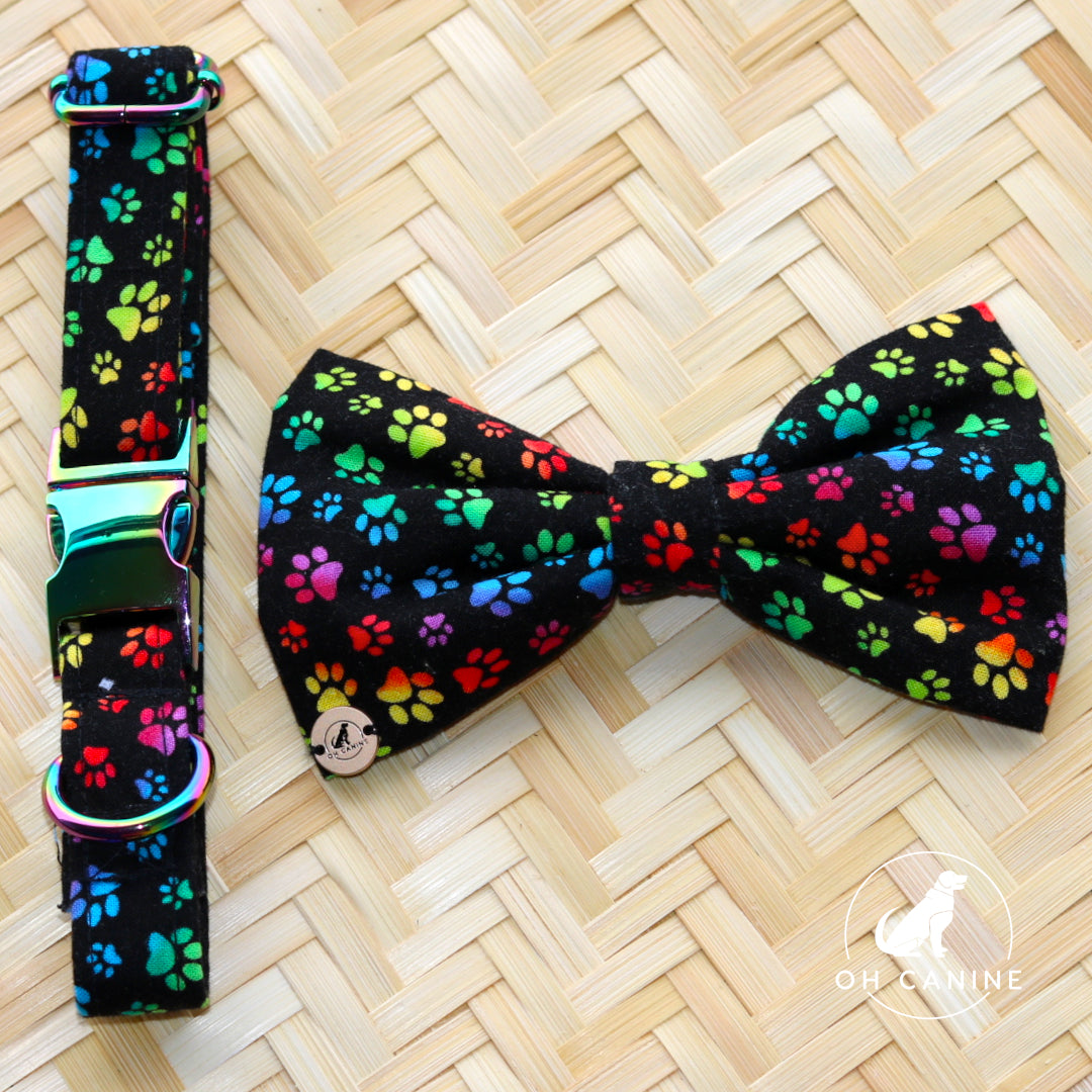 Rain Bow Paws Handmade Collar and bow set for dogs